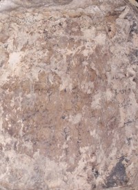 Image of Kitab Samarkandi-Naskah Madura Dede 01