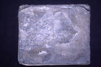 Image of Naskah Madura Salim 01-Kitab Safina